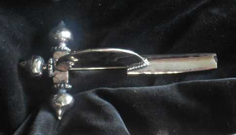 Zwiebelknopfiebel_Konstantin_Roemer